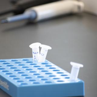 Test tubes sit in a blue bin.