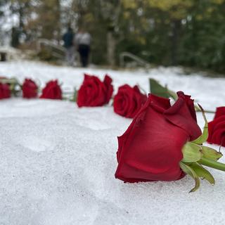 National Day of Remembrance and Action on Violence against women 2022