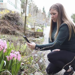 Mandy Hobkirk uses her phone to take photos of pink flowers.