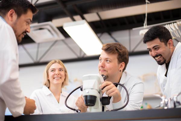 Four students in a biology lab