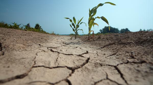 A parched, drought landscape