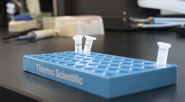 Clear test tubes in a blue tray labelled Thermo Scientific.