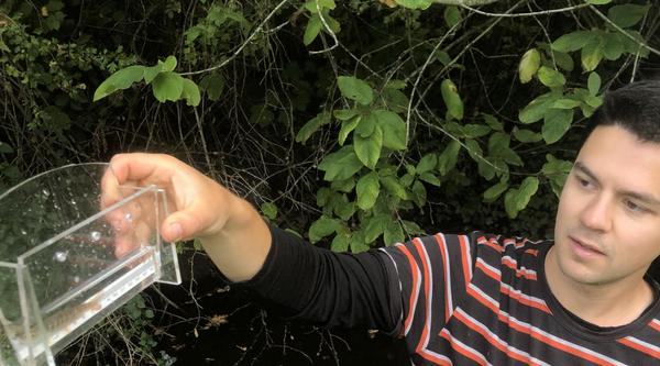 Joe Clark holds a container with a cutthroat trout fry.