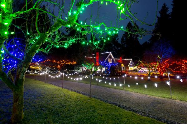 Green, blue and red holiday lights twinkle and glow on Milner House and trees and shrubs.