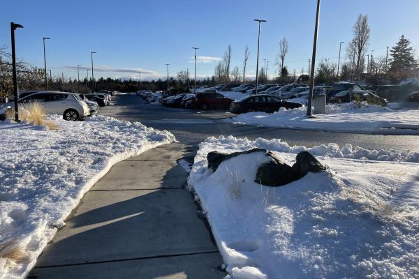 Picture of a VIU Nanaimo campus parking lot and sidewalk that have been cleared of snow