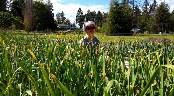 Toni sits in a field of garlic