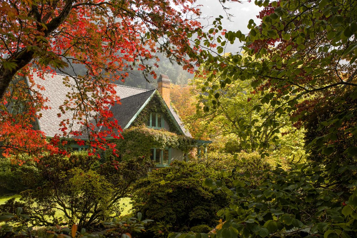 A canopy of trees with red, yellow and green leaves surround Milner House.