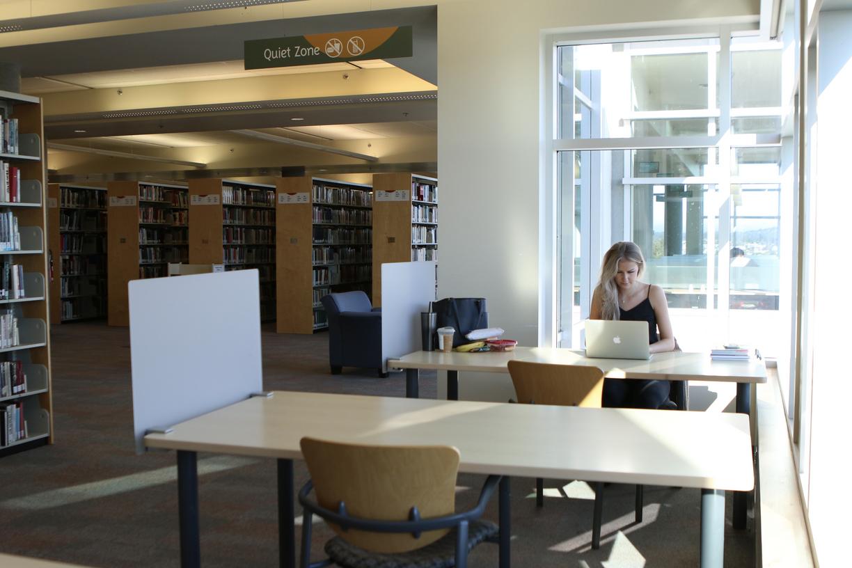 a woman studies at a desk in the library