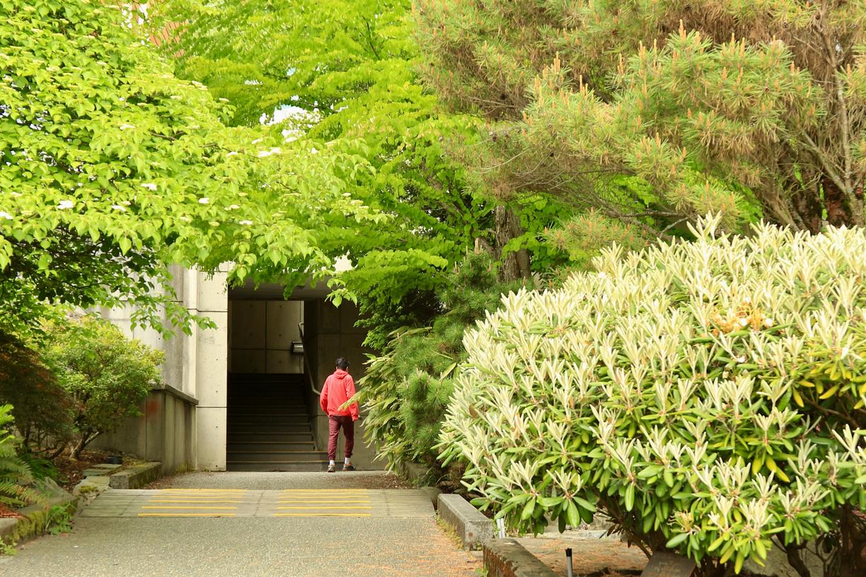 A student walks through gardens on VIU's Nanaimo campus