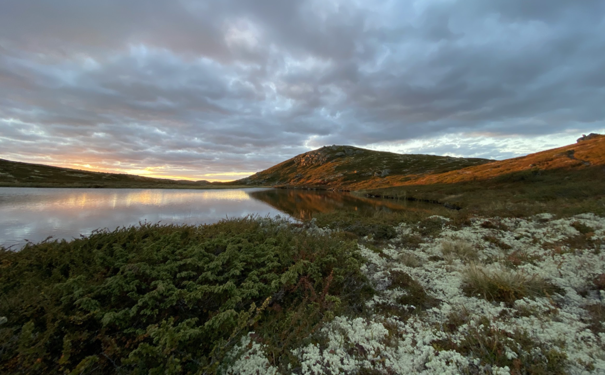 photo of Norway landscape