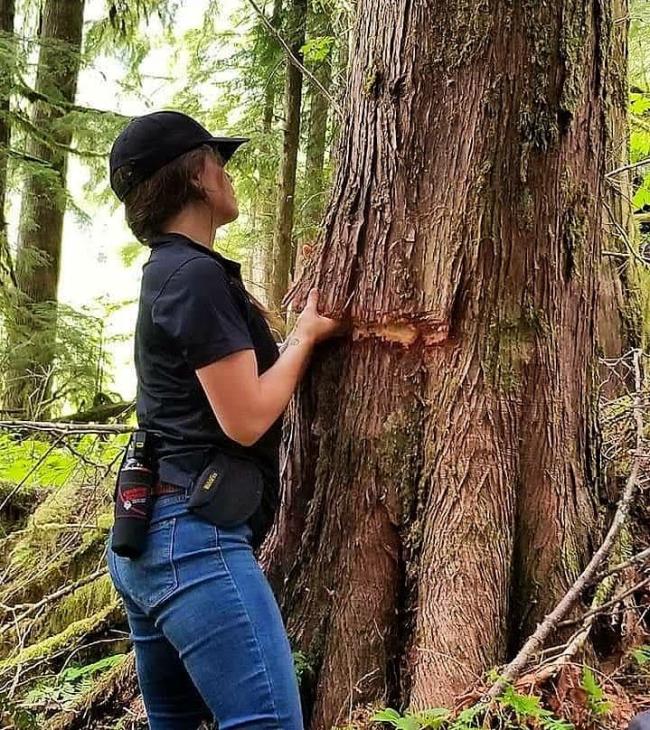 Chyanne pulling Cedar