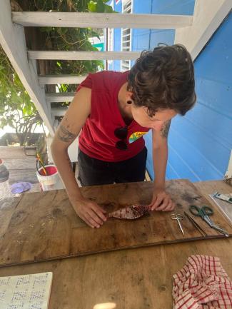 lionfish dissection